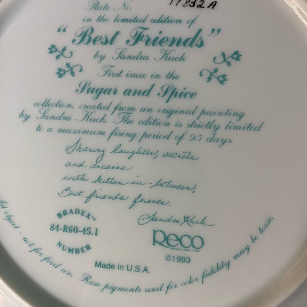 Set of 2 Decorative Plates - Picture 3 of 7